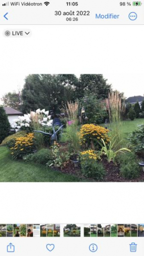 Oasis de la rivière